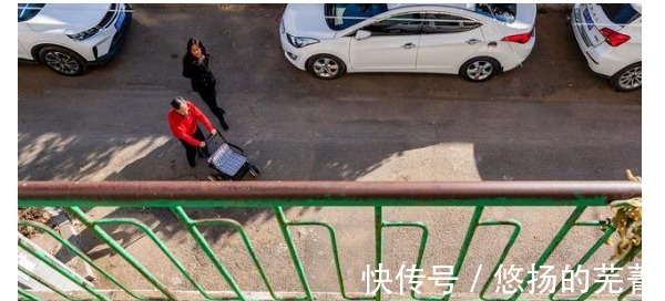 俗话“小雪铲白菜,大雪铲菠菜”,小雪为啥要铲白菜了解一下!