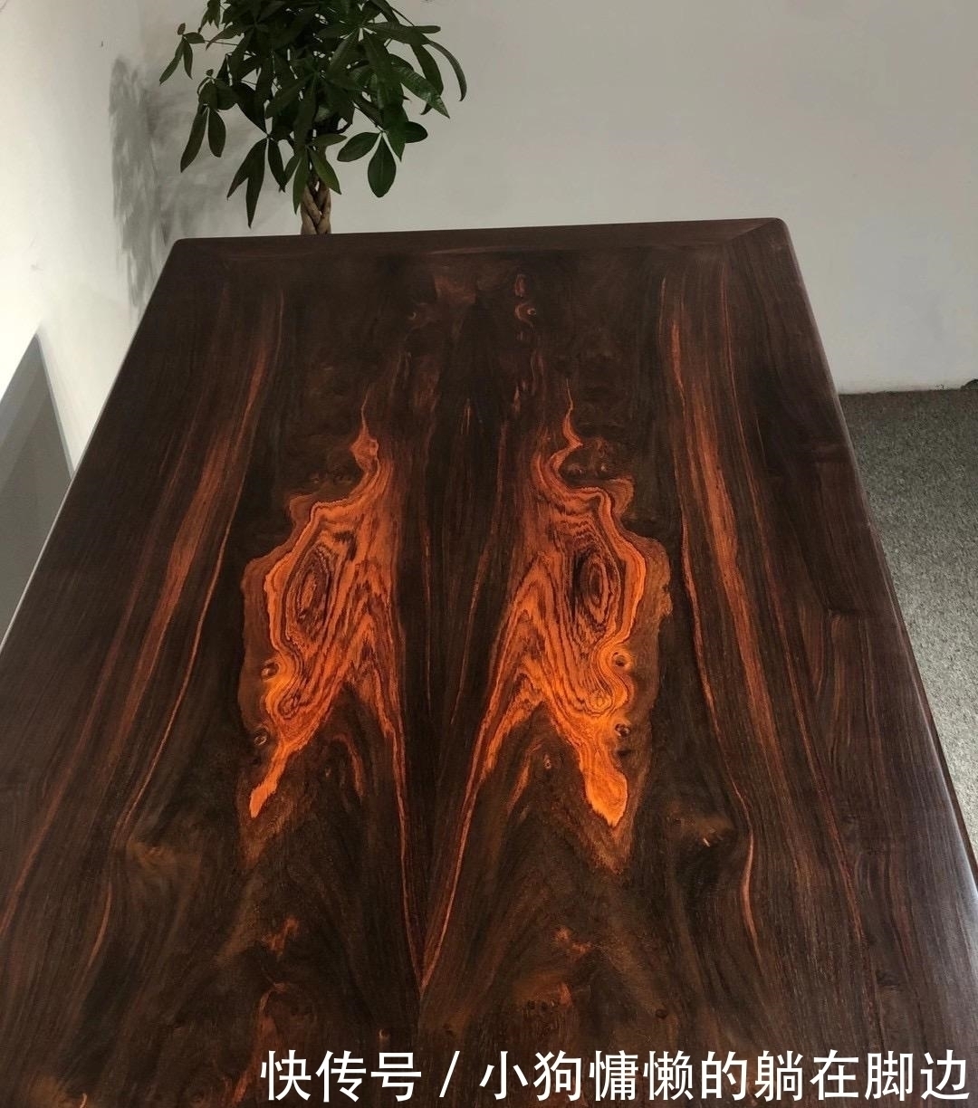 实用|她家47㎡新房,全屋精心设计,很实用,能满足一家三口幸福生活!