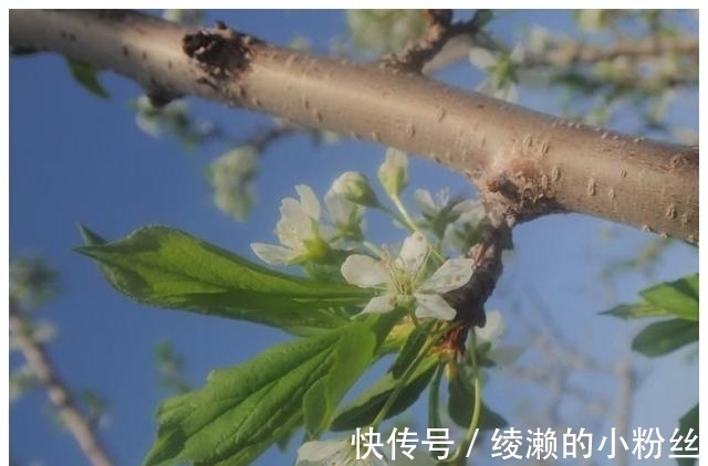 甜言蜜语|未来一周，雨过天晴，彩虹大桥，4大生肖爱情重逢，再次相爱