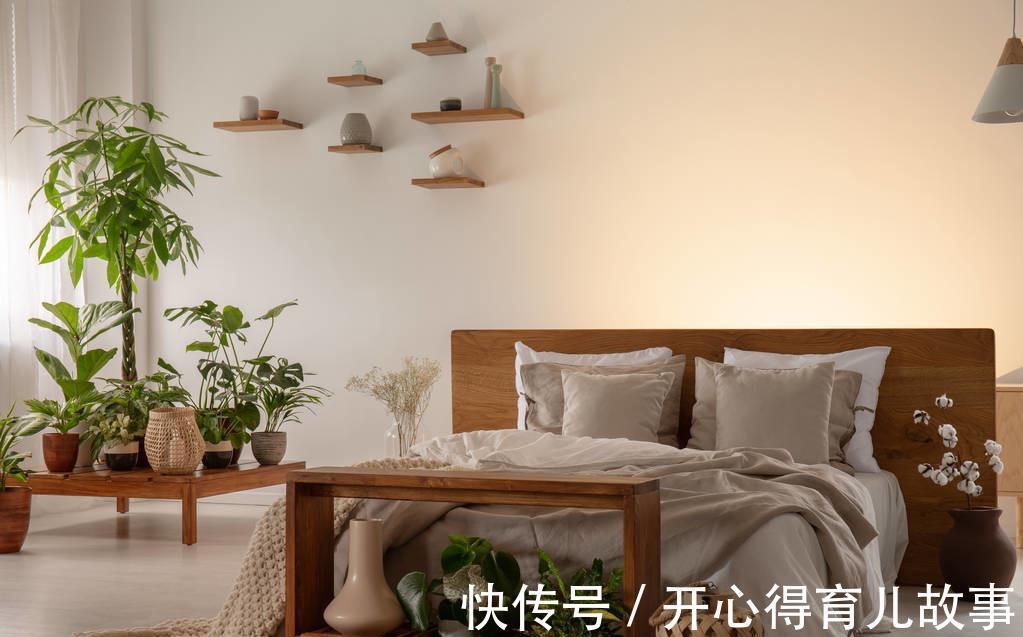卧室不能养花,我来告诉你真相