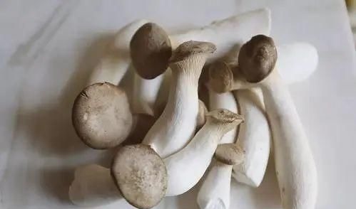 买杏鲍菇时，挑大的还是小的？蔬菜商贩说漏嘴，以后可别再瞎买！