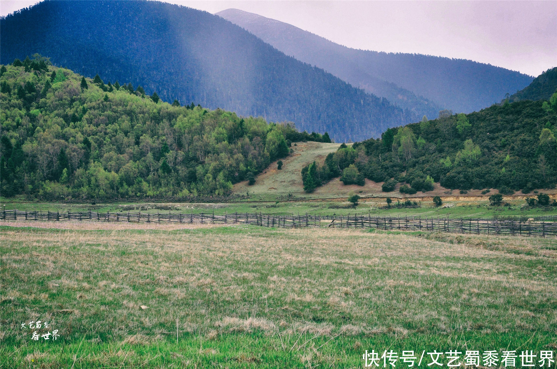 在川藏线上有一个仙境一样的村庄，鲁朗扎西岗村，去过的人并不多