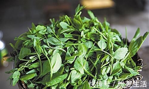 熬夜者|少吃肉多吃这菜，5块钱1斤，排毒养肝，改善视力，熬夜者多吃好