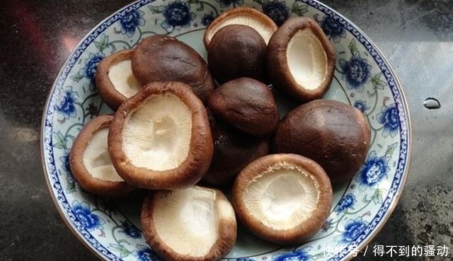 简单|饺子馅这样调别提有多赞,天天吃都不腻,简单易学! 附教程