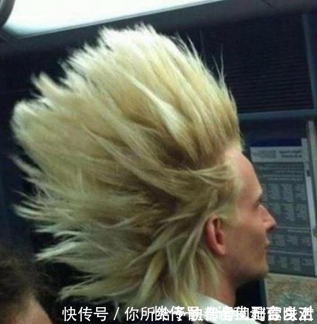 奇葩 世界上最奇葩的10款发型,个个雷人,走在街上回头率百分百