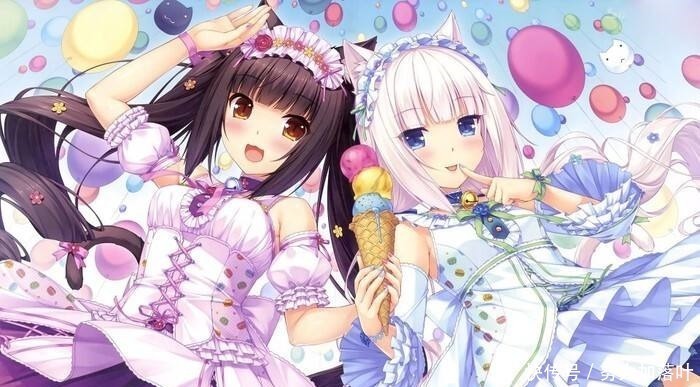 领养|二次元中具有猫耳属性的美少女(猫娘),你想要领养哪一只呢