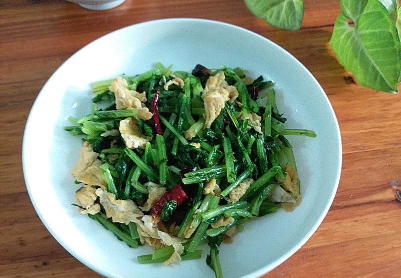 吃萝卜不如吃它，维C是萝卜的2倍多，化痰止咳助消化，2元1把