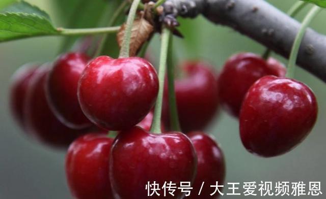 常吃|胃不好怎么办5种水果常吃,或有助缓解肠胃不适