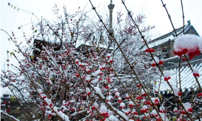 美景|太美了！2020年冬第一场雪：青龙古镇美景