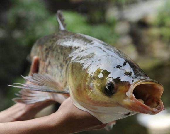 想要钓大鱼,就要记住这几个妙招,学会了你会有收获