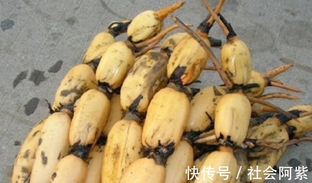 口感|买莲藕怎么区分“脆”和“糯”？卖菜大叔教我的方法，1招搞定