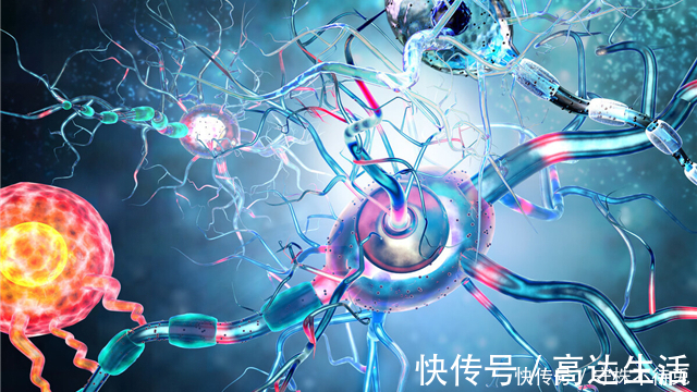 16个冷知识:真实存在着,或许也曾知晓过的有趣知识