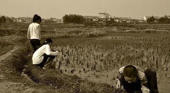 万州|那些年，咱万州人的醉美的记忆：乡土的味道