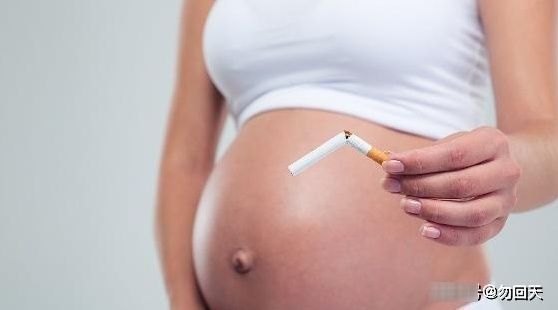 肚子|同样是怀孕,有的人肚子大得像球,有的却不显怀?不妨一看!