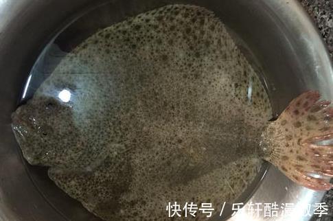 开海后,优先选择这四种海鱼,肉多刺少营养高,很适合老人和孩子