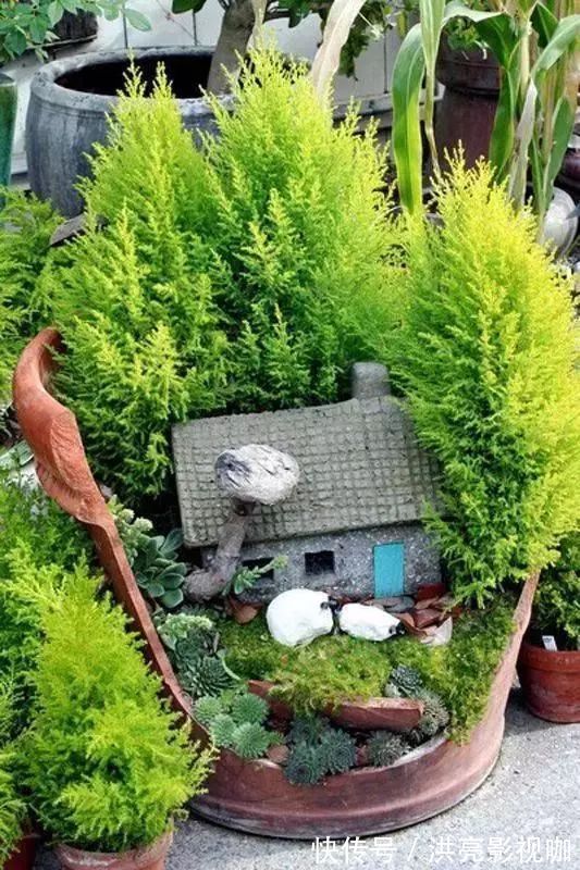 神器|别再花钱买普通花盆了,你意想不到的种花神器!