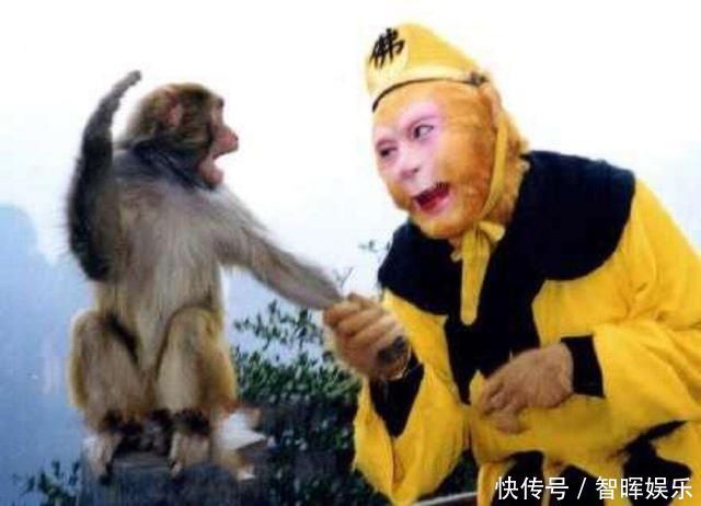 孙悟空不仅有72变,还有13个称呼,怪不得这么厉害