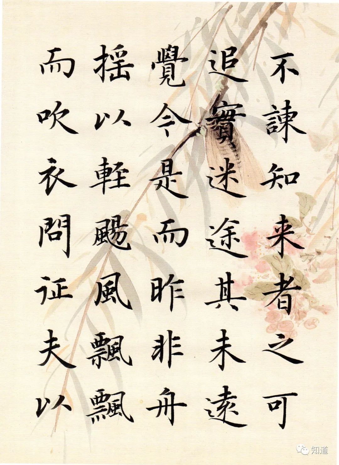 归去来兮辞&书法不可以自学,自学就等于自杀。书法培训老师都这么说