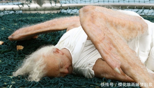 游客|“坠落人间的天使”被展览,游客纷纷驻足观看,扼腕惋惜!