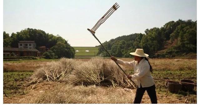 农具$李小龙用它防身,周董用它创作,铁链连起来,便拥有致命的威力