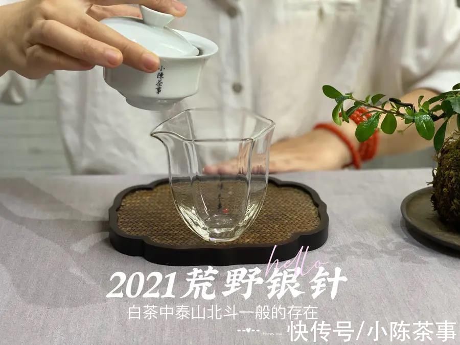 白毫银针$泡茶水温重要吗？80℃、90℃、100℃，谁才是泡白茶的最佳水温？