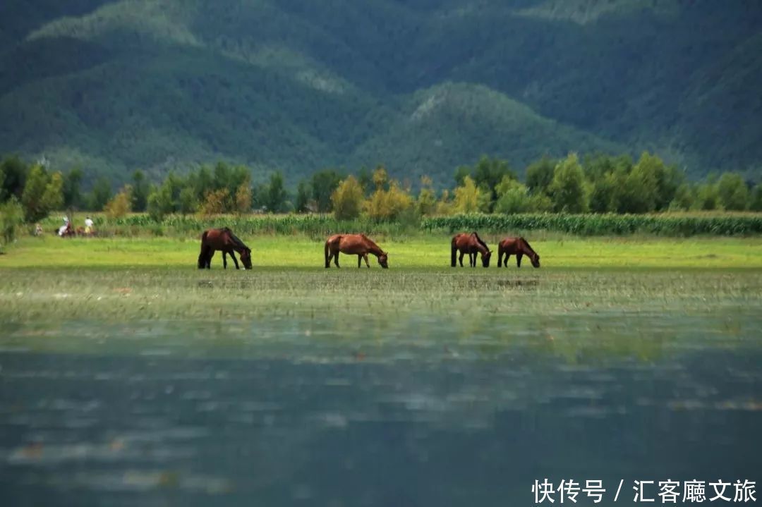 这3个目的地，自驾其中，一路上的景致必定会惊艳到你！