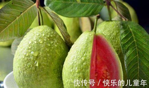 刮油|想肌肤细腻，秋天吃几种食物，润肤美容，抗衰老，谁吃谁变好