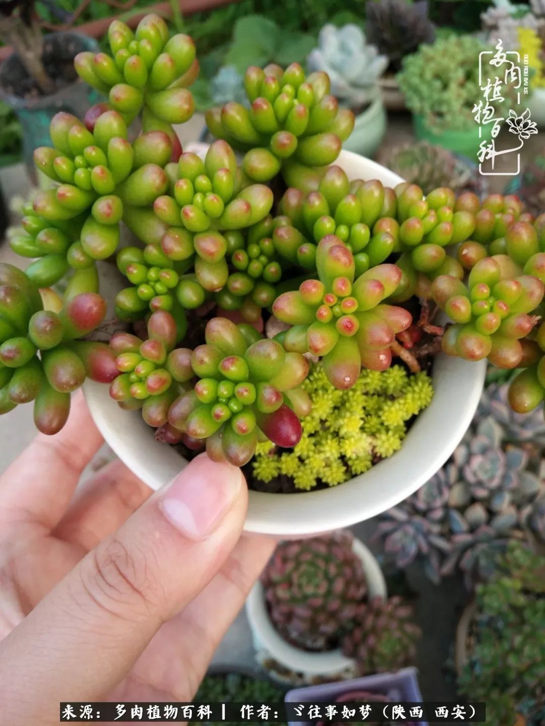 愿你付出甘之如饴,愿你所得归于欢喜!