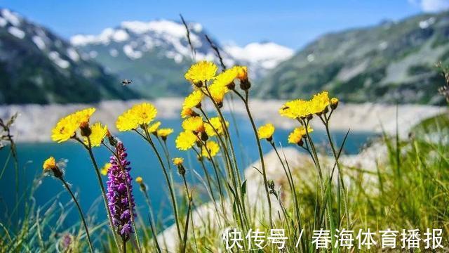 增生|增生、结节、肌瘤、囊肿、肿瘤:介绍一个中成药