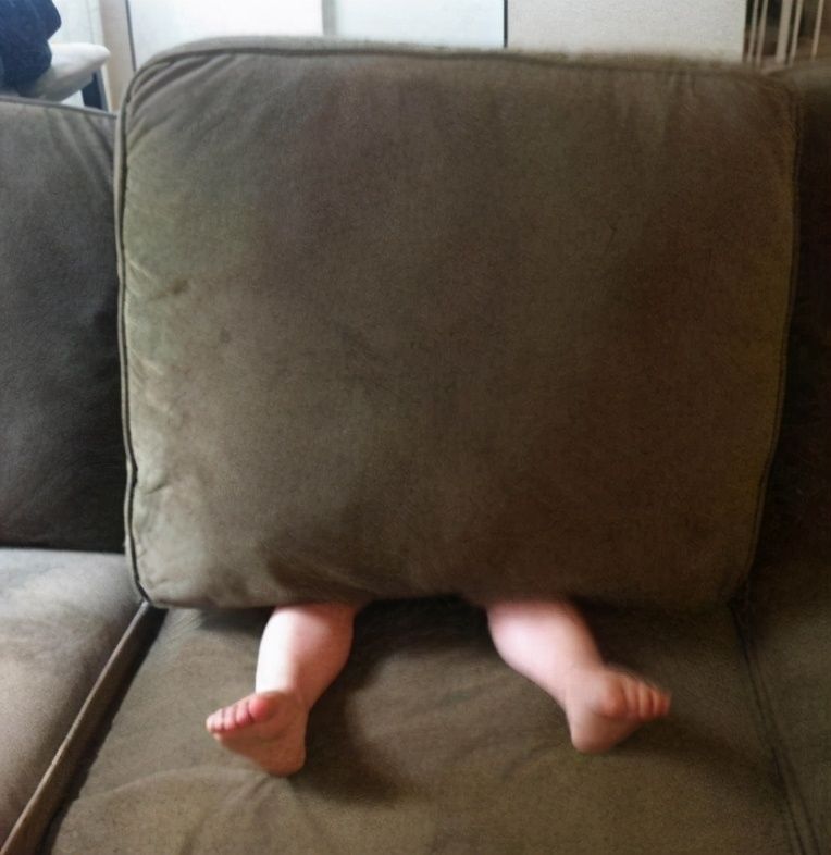 阅读|哈佛大学研究发现:孩子大脑发育的最佳方法,不是阅读,而是游戏