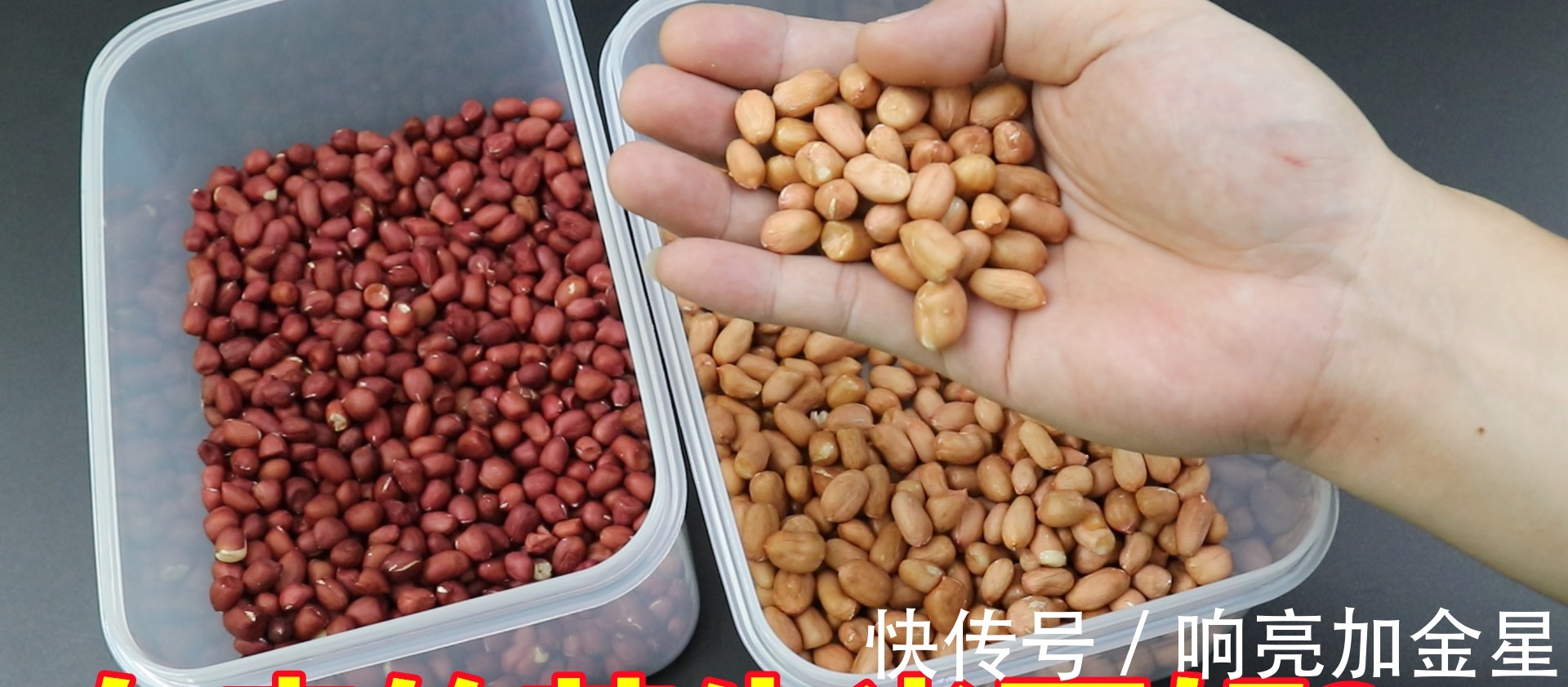 小白点|红皮花生米和白皮花生米，哪一个更有营养好多人不懂，长见识了！