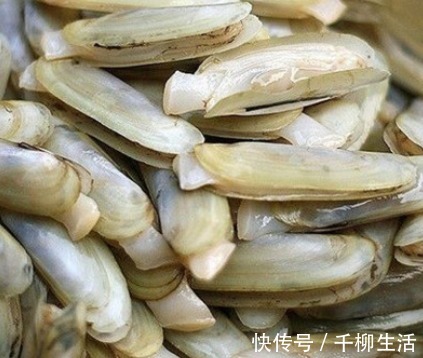 营养|夏季,遇到这肉别错过!一次性买十斤冻起来,营养高味道鲜美!