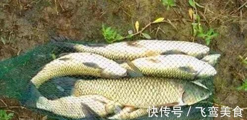 台钓|钓鱼“奇”招数：双铅钓组，不怕刮风流水闹小鱼，野钓最佳钓法！