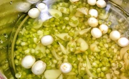 百合|煮绿豆汤时,绿豆不用泡水了,教你1招技巧,10分钟绿豆全开花