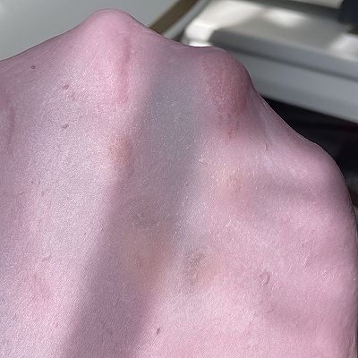 蔓越莓牛牛吐司|紫薯蔓越莓牛牛吐司