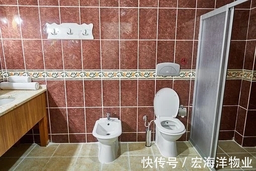 漂白剂|清洁浴室瓷砖十三大方法