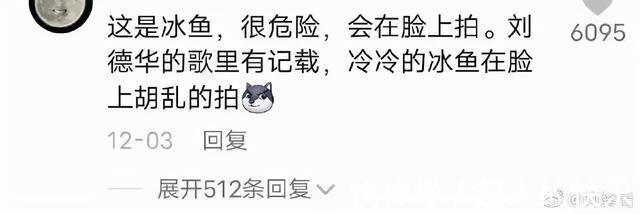 |拍迪士尼烟花翻车现场 冷段子2008