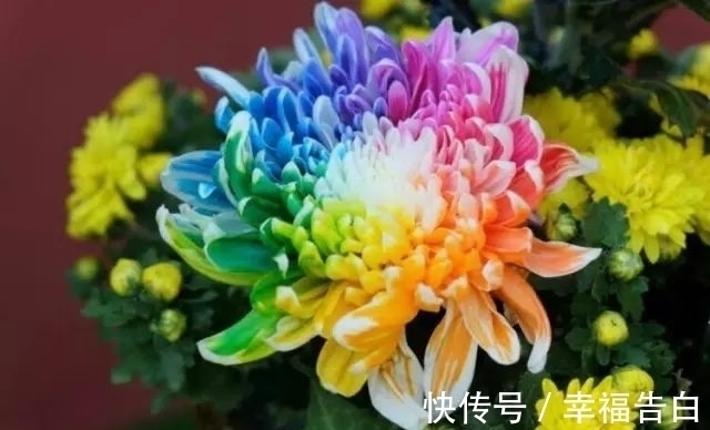 莲歌$七律·秋之韵十二首:小径无人着浅幽,都说天凉好个秋