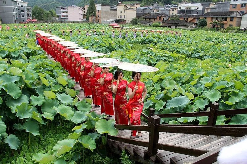 荷塘“悦”色美了乡村富了乡亲|逐梦小康·看安隆 | 乡亲