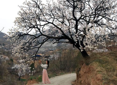 春暖花开，富平美景撩人！