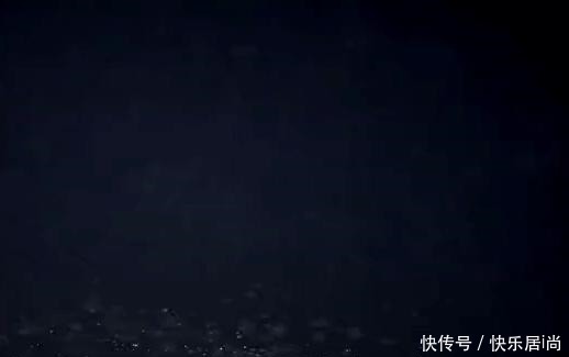 肉肉|火锅里不能少的肉肉是谁