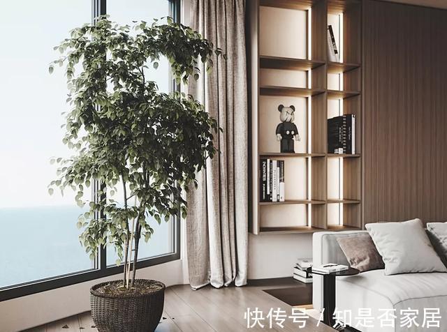 45㎡小宅装成这样,舒适度满满又高颜值