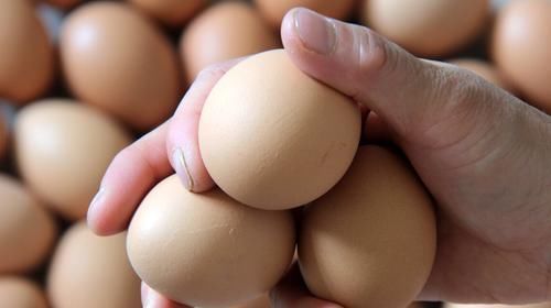 要点|鸡蛋保鲜有技巧,不能直接放冰箱,牢记3个保存要点,鸡蛋更保鲜