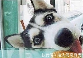 |笑话：晚上打车回家，下车后，我给司机100元，花了30元打车费