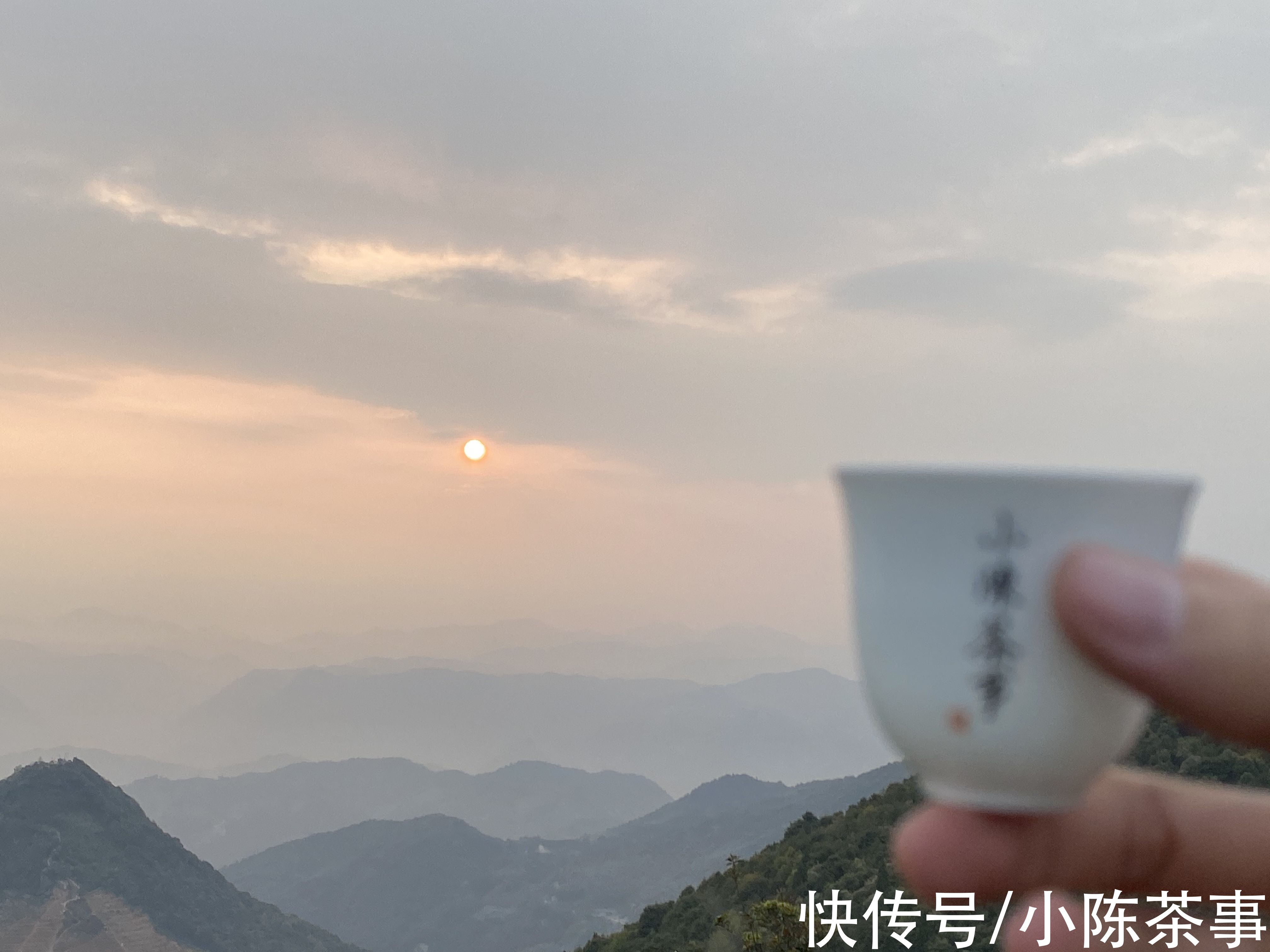 茶叶|白毫银针存冰箱3年，再拿出来会和新茶一样吗？如何存出好白茶？