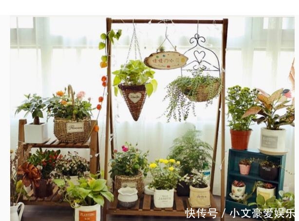 阳台|如何打造漂亮阳台?新颖“花架”,打造您的私人花园