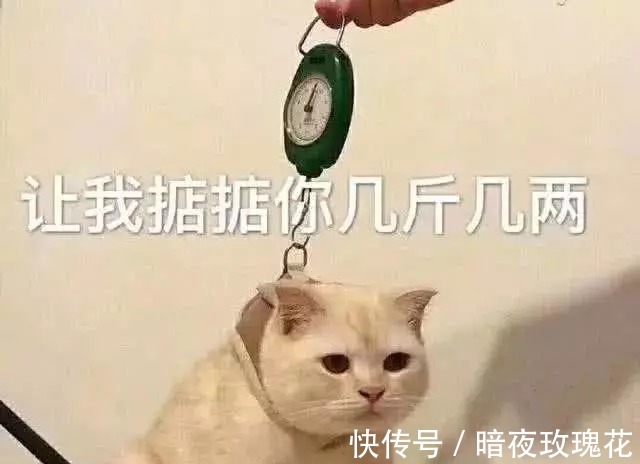 |十条笑话牙医,拔错牙这事儿,你是不想负责了是吗!