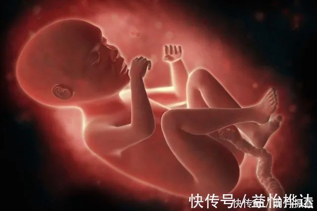 排便|怀孕期间,孕妈上厕所有讲究,牢记“三不要”对胎儿和孕妇都更好