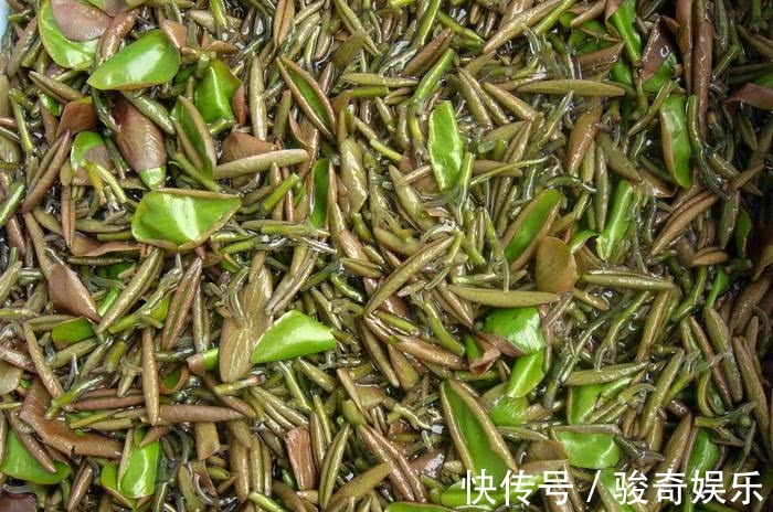 滋补气血|女性不想变黄脸婆,常食3菜,润泽皮肤、滋补气血,增强免疫力!