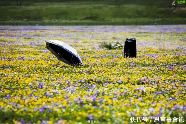 1158.03万亩天然草场，数十公里花海浩瀚盛放，这儿空气都是甜的